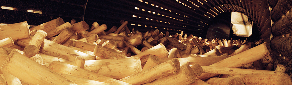 The company begins importing wood pulp from Europe, primarily Scandinavia.